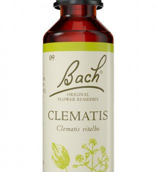 Bach Flower Clematis 20ml - The O.G Me